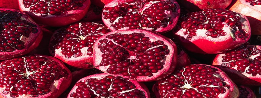 Why Immune Aging Starts in Your Mitochondria — and What Science Has Discovered