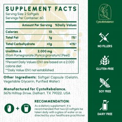 CystoRebalance Urolithin A Supplement 2000mg – High-Absorption Antioxidant for Healthy Aging & Mitochondrial Support – 120 Softgels