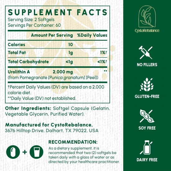 CystoRebalance Urolithin A Supplement 2000mg – High-Absorption Antioxidant for Healthy Aging & Mitochondrial Support – 120 Softgels