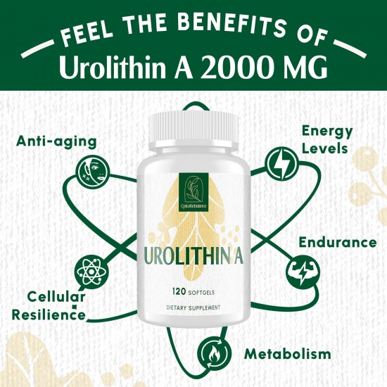 CystoRebalance Urolithin A Supplement 2000mg – High-Absorption Antioxidant for Healthy Aging & Mitochondrial Support – 120 Softgels