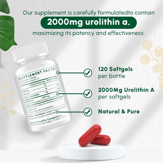 CystoRebalance Urolithin A Supplement 2000mg – High-Absorption Antioxidant for Healthy Aging & Mitochondrial Support – 120 Softgels
