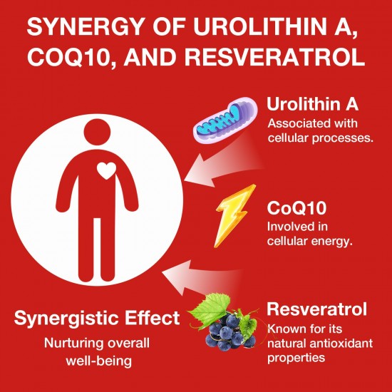 Gesundgeist Liposomal Urolithin A Supplement with CoQ10 & Trans-Resveratrol, 1500mg 120 Softgels Gesundgeist Liposomal Urolithin A Supplement with CoQ10 & Trans-Resveratrol, 1500mg 120 Softgels