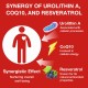 Gesundgeist Liposomal Urolithin A Supplement with CoQ10 & Trans-Resveratrol, 1500mg 120 Softgels Gesundgeist Liposomal Urolithin A Supplement with CoQ10 & Trans-Resveratrol, 1500mg 120 Softgels