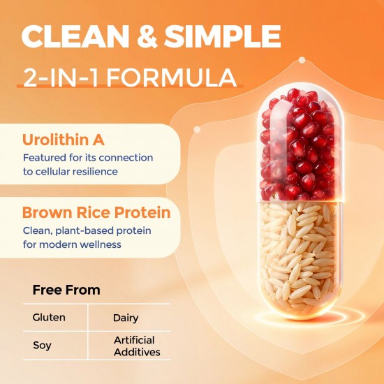 Sundhedsliv Urolithin A 1500mg + Brown Rice Protein | High Absorption Mitochondrial & Exercise Performance Support | Gluten-Free, 60 Capsules